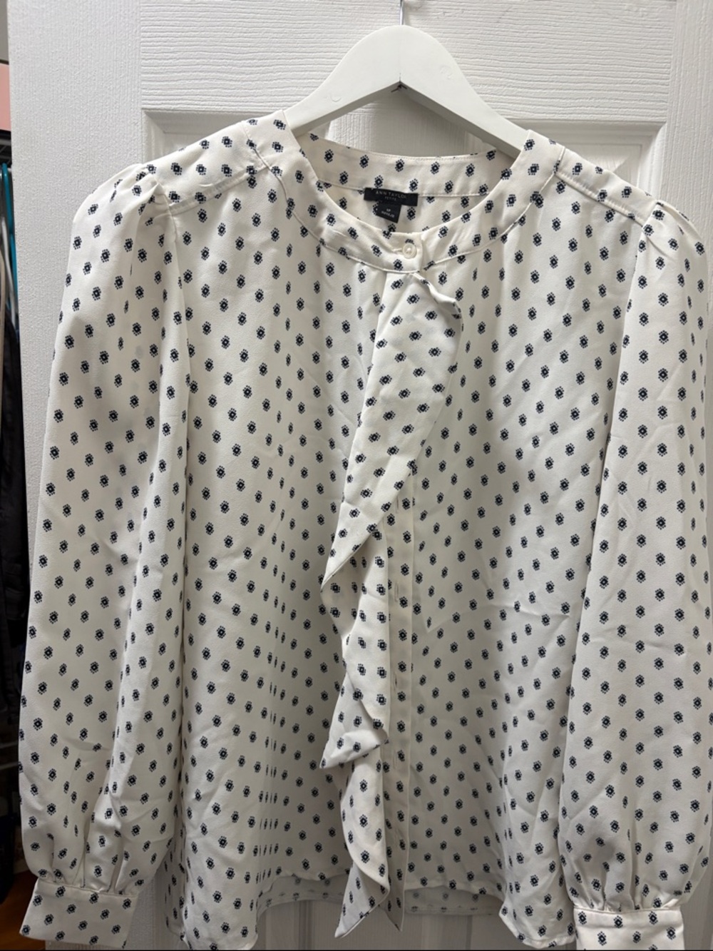 Ann Taylor Cream Blouse with Navy Dot Floral Ruffle